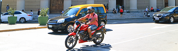 Road mortality inside buenos aires 2
